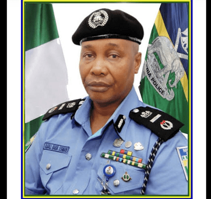 Shoot-At-Sight Order: Igbo group drags IGP to UN, ICC
